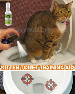 Pet Toilet Training
