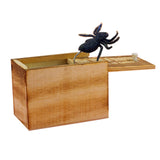 Spider Prank Box