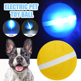 Motion Ball Waterproof & Durable Pet Toy