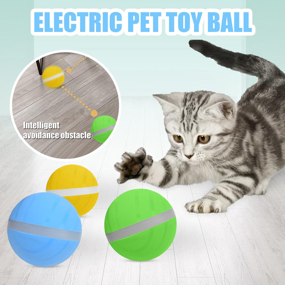 Motion Ball Waterproof & Durable Pet Toy