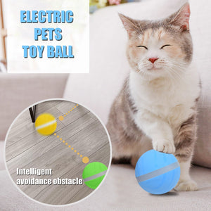 Motion Ball Waterproof & Durable Pet Toy